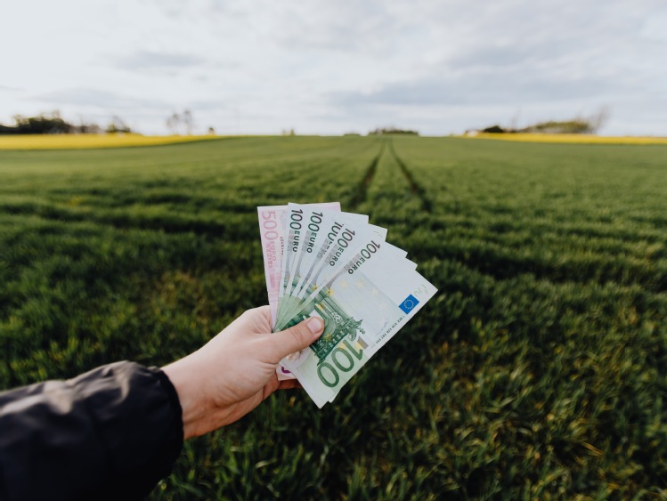 Rolnictwo węglowe sposobem na poprawę koniunktury polskich gospodarstw rolnych